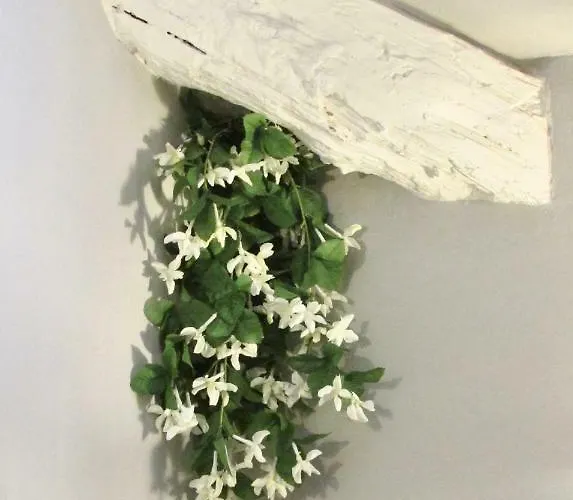 Appartamento La Mimi' Torino