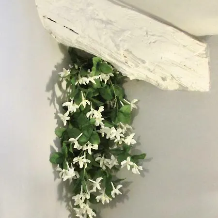 Apartamento La Mimi' Turim